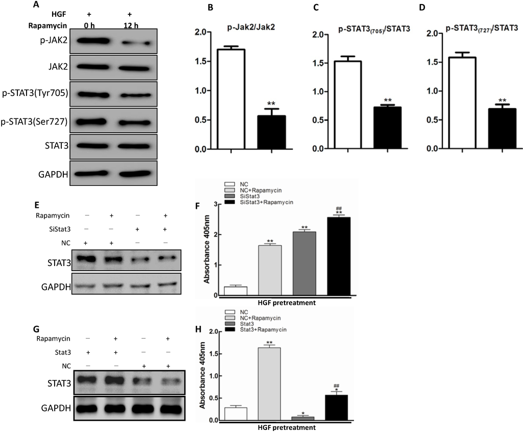 Ijms 15 13833 g004 1024
