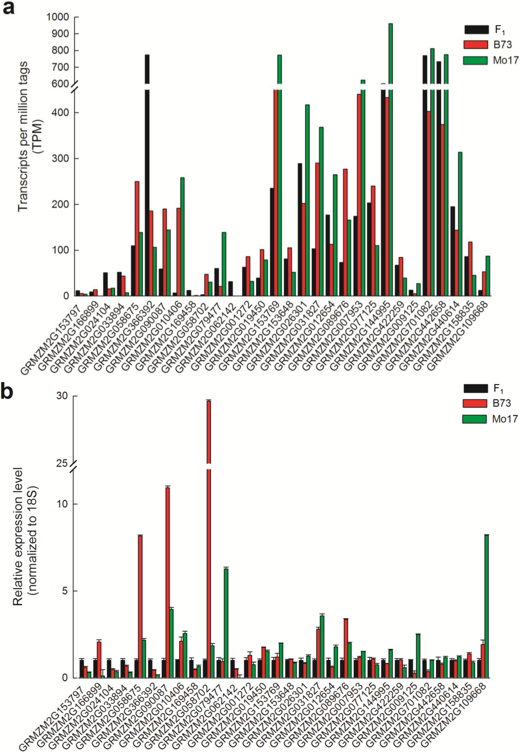 Ijms 15 13892 g003 1024