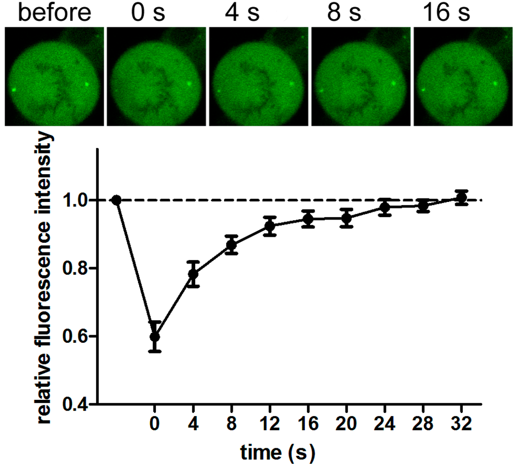 Ijms 15 13932 g002 1024