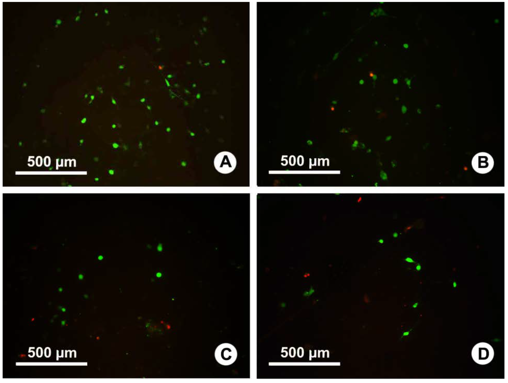 Ijms 15 14014 g004 1024