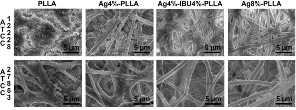 Ijms 15 14014 g006 1024