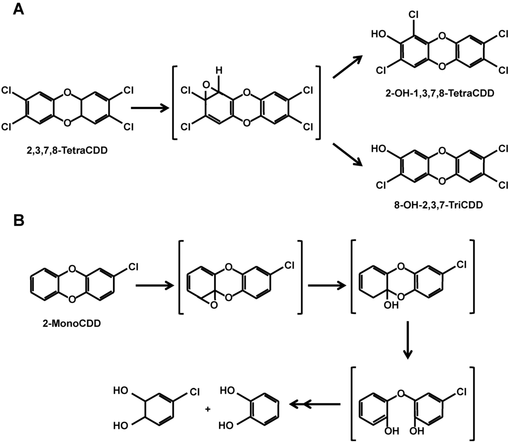 Ijms 15 14044 g003 1024