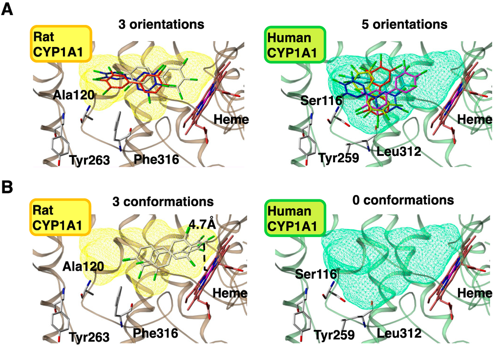 Ijms 15 14044 g005 1024