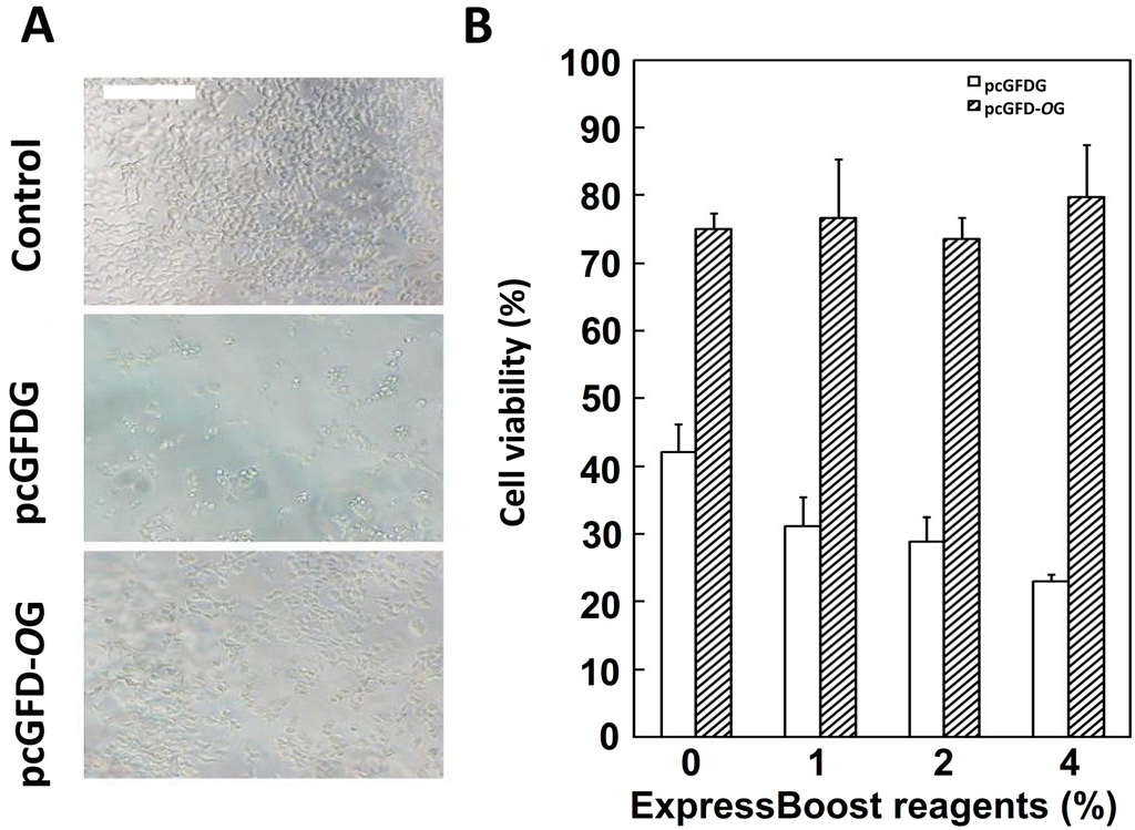 Ijms 15 14166 g002 1024