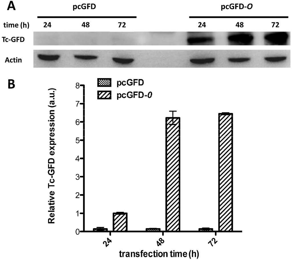 Ijms 15 14166 g004 1024