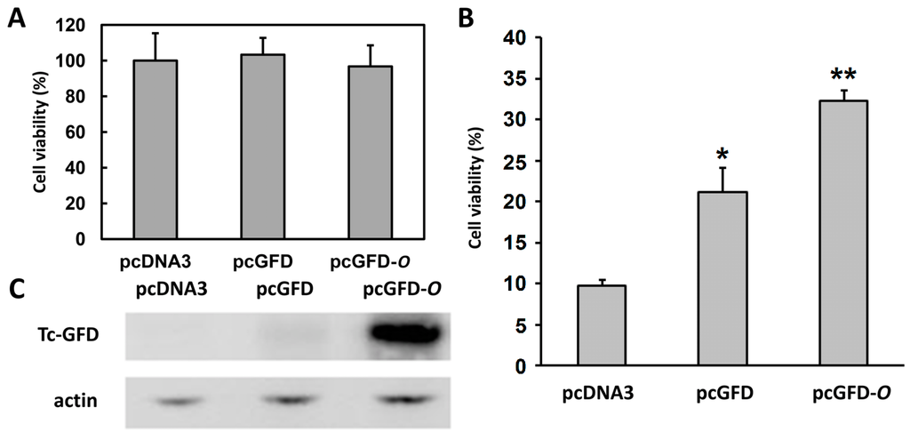 Ijms 15 14166 g005 1024