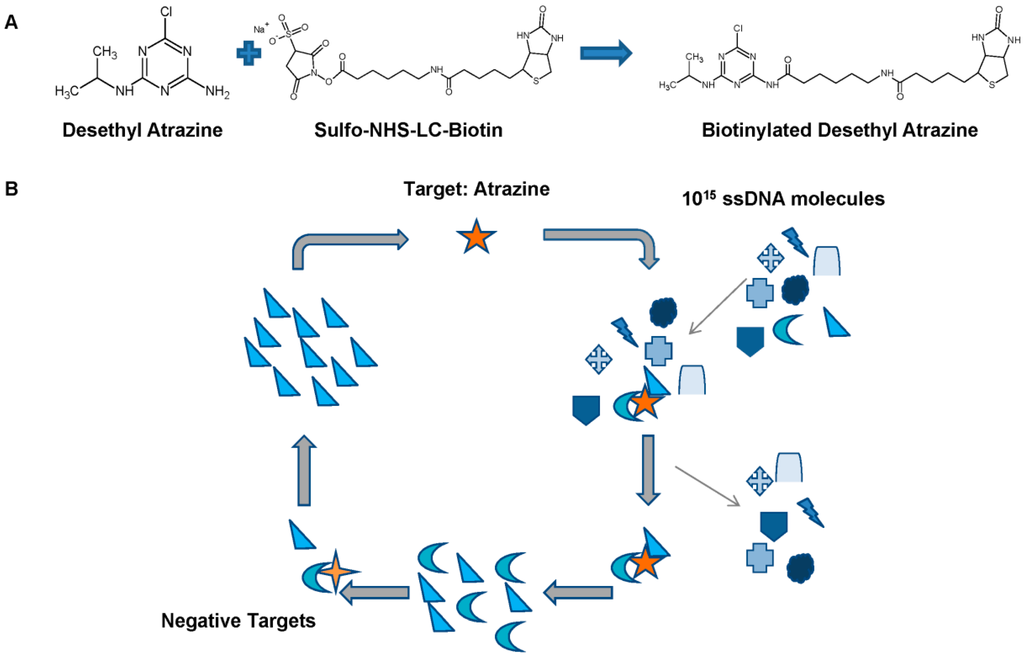 Ijms 15 14332 g001 1024