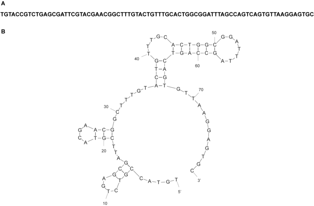 Ijms 15 14332 g003 1024