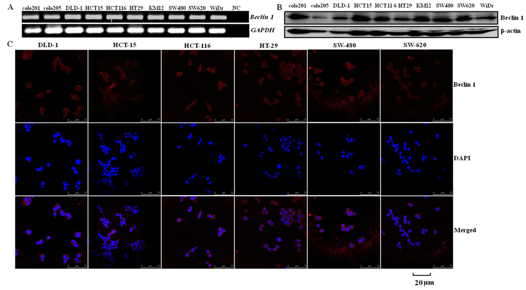 Ijms 15 14372 g001 1024