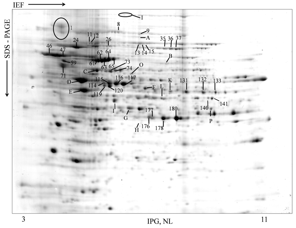 Ijms 15 14505 g001 1024