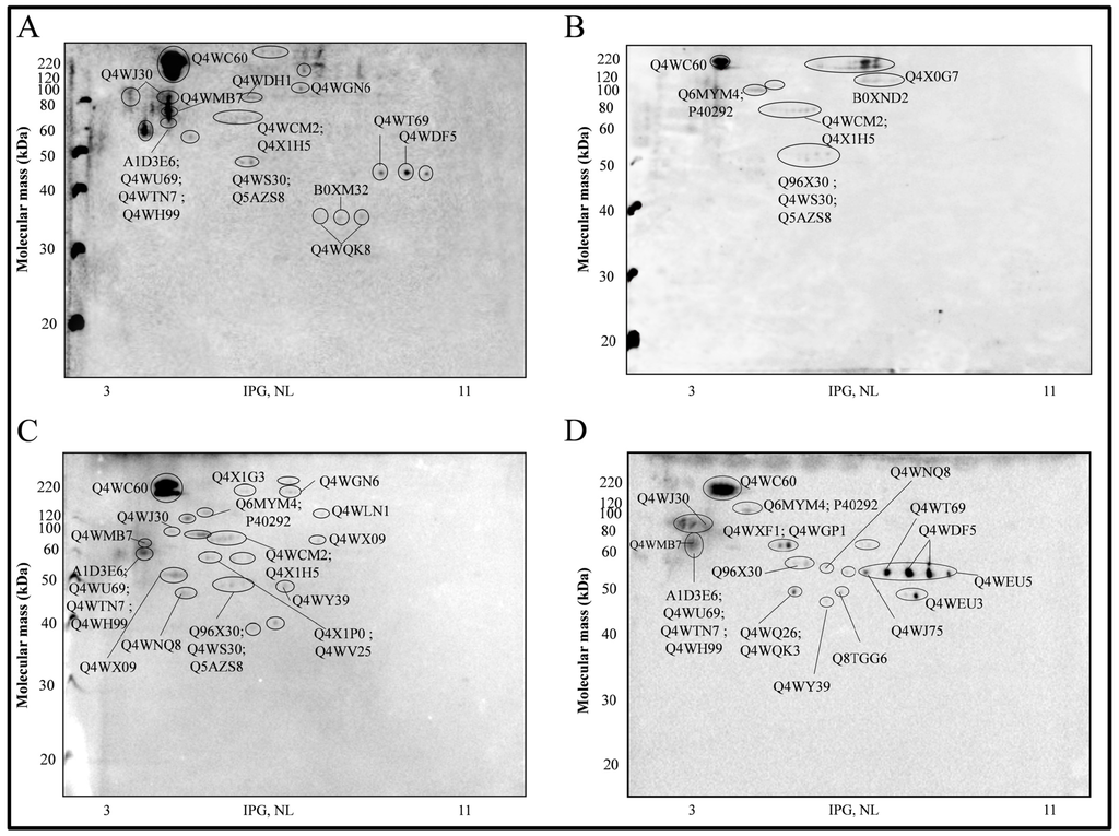Ijms 15 14505 g002 1024