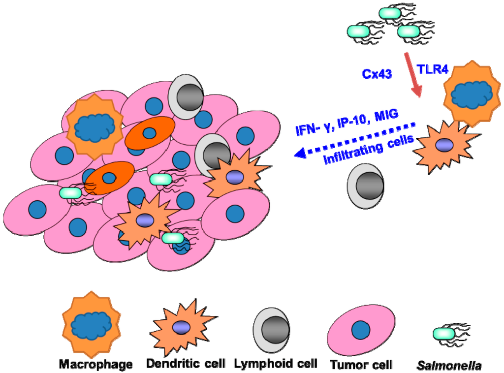 Ijms 15 14546 g001 1024