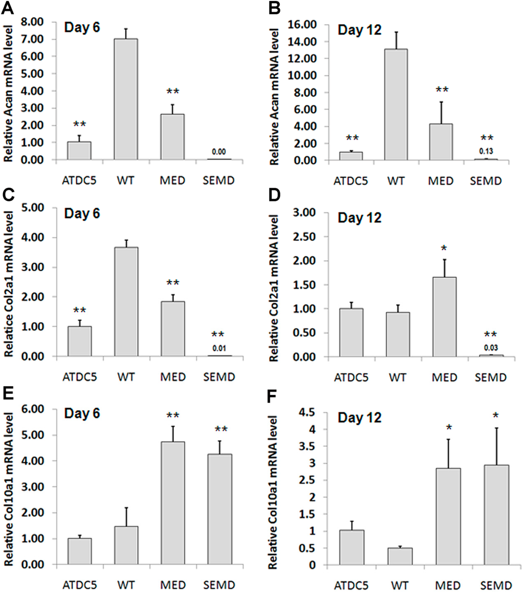 Ijms 15 14555 g004 1024