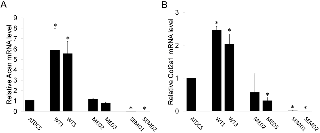 Ijms 15 14555 g006 1024