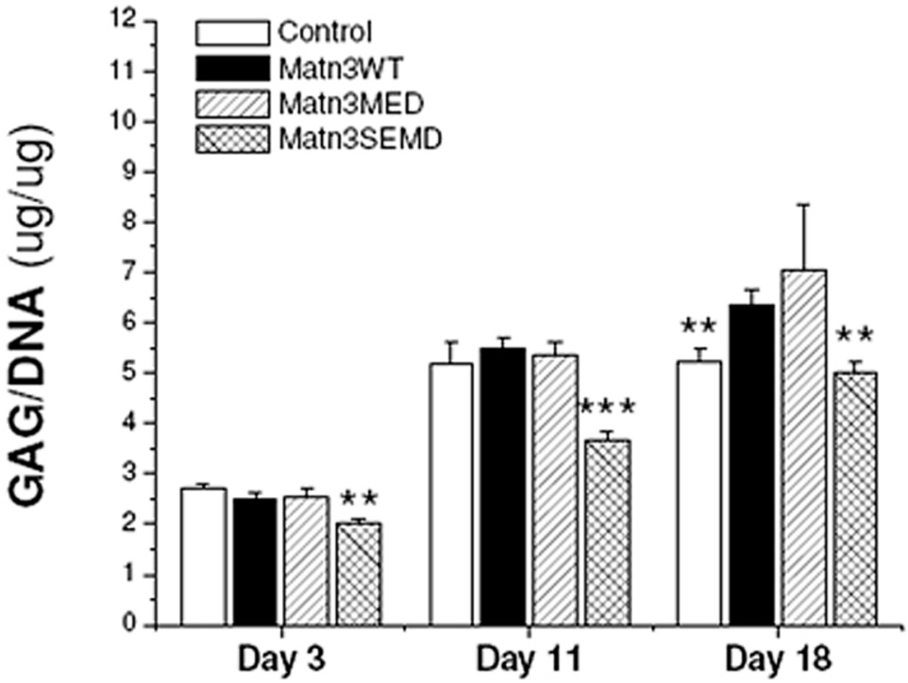 Ijms 15 14555 g007 1024