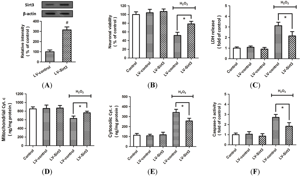 Ijms 15 14591 g003 1024
