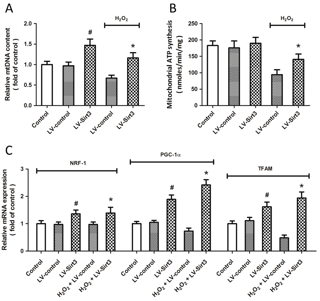 Ijms 15 14591 g006 1024