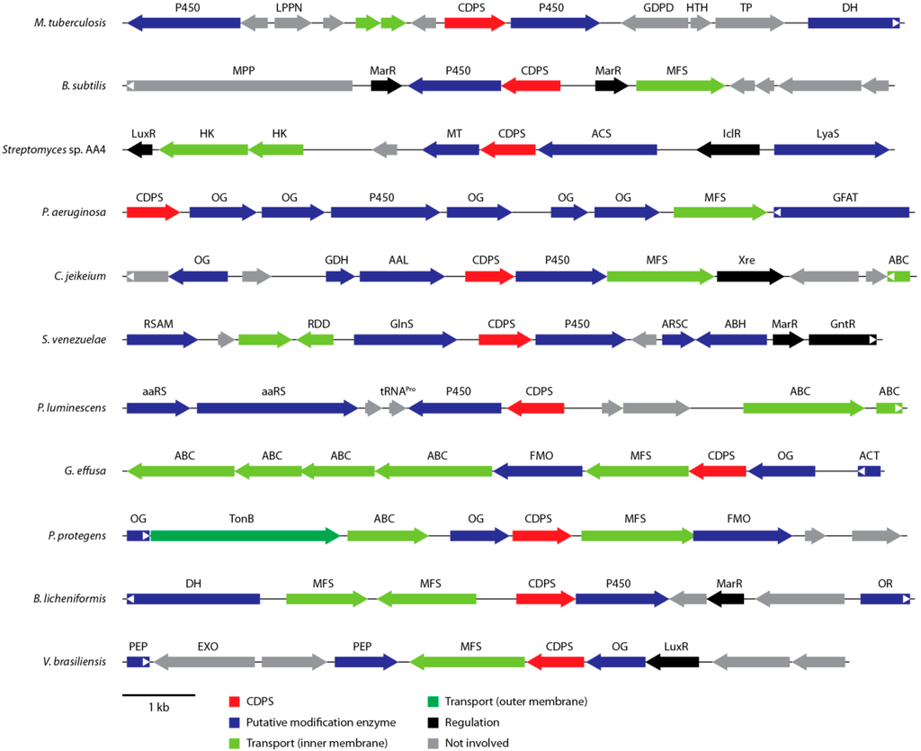 Ijms 15 14610 g004 1024