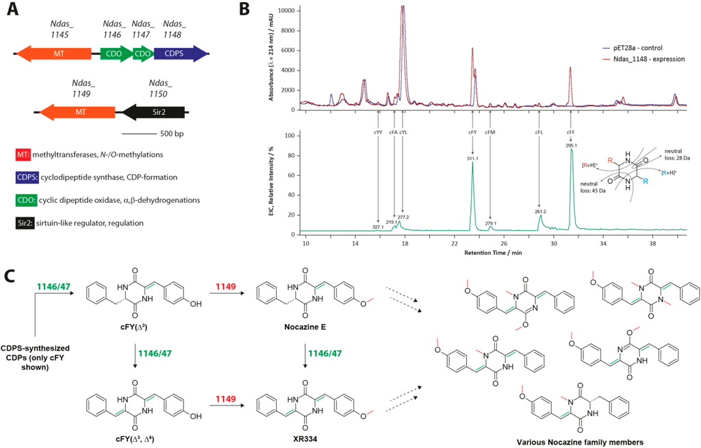Ijms 15 14610 g007 1024