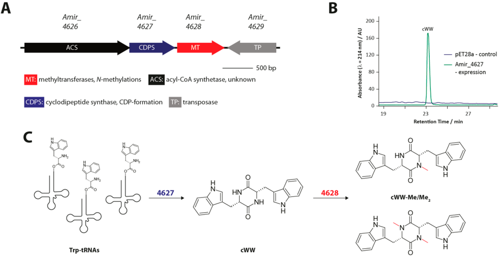 Ijms 15 14610 g008 1024