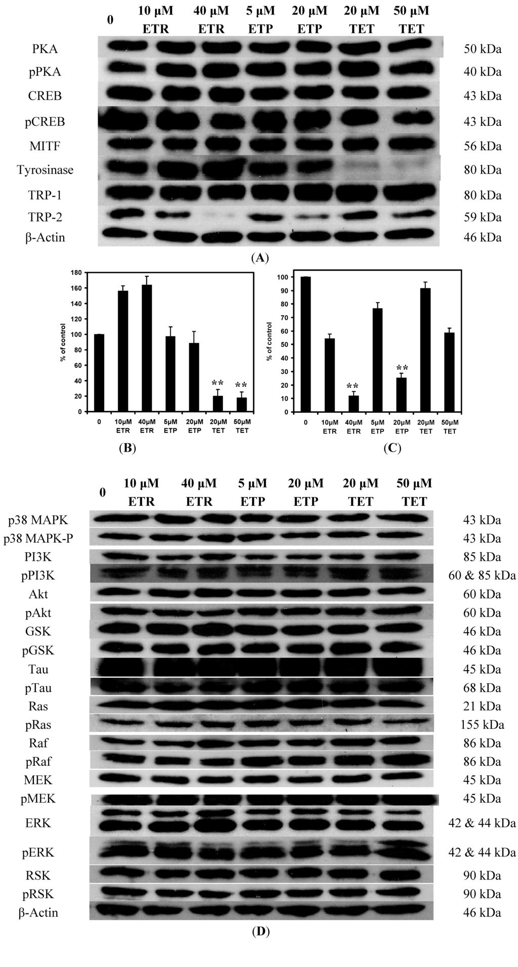 Ijms 15 14649 g002 1024