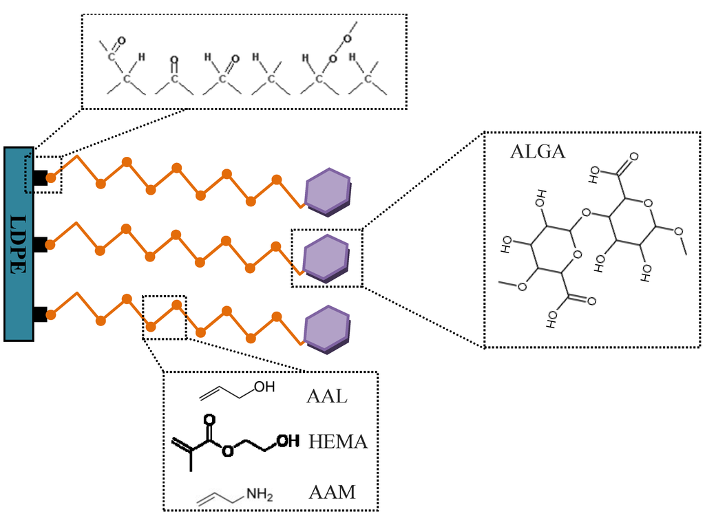 Ijms 15 14684 g004 1024