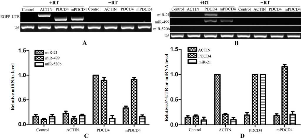 Ijms 15 14753 g005 1024