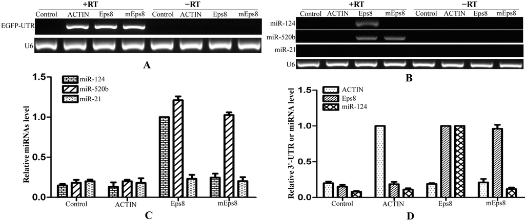 Ijms 15 14753 g006 1024
