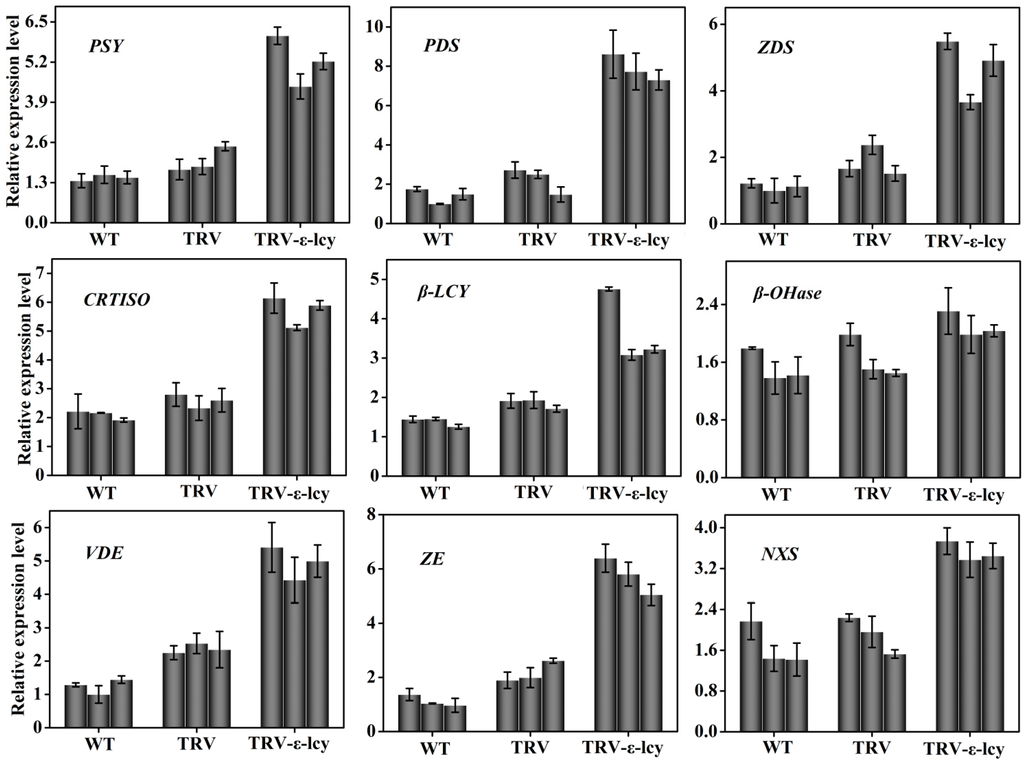 Ijms 15 14766 g008 1024