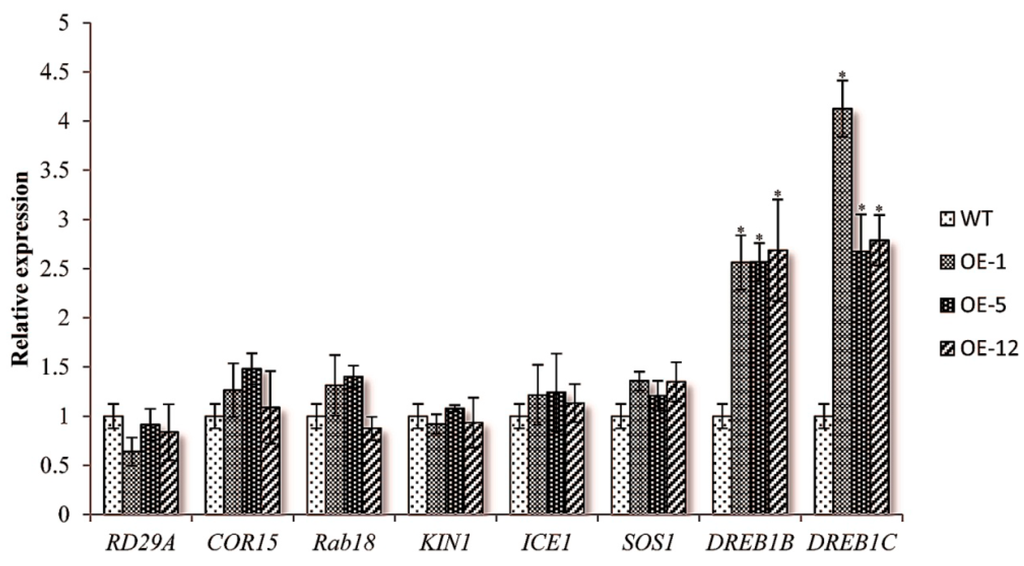 Ijms 15 14819 g003 1024