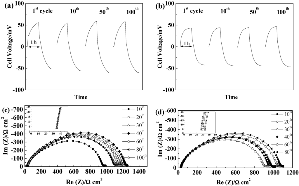 Ijms 15 14868 g004 1024