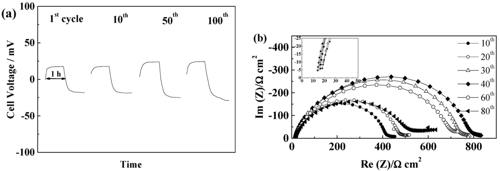 Ijms 15 14868 g006 1024