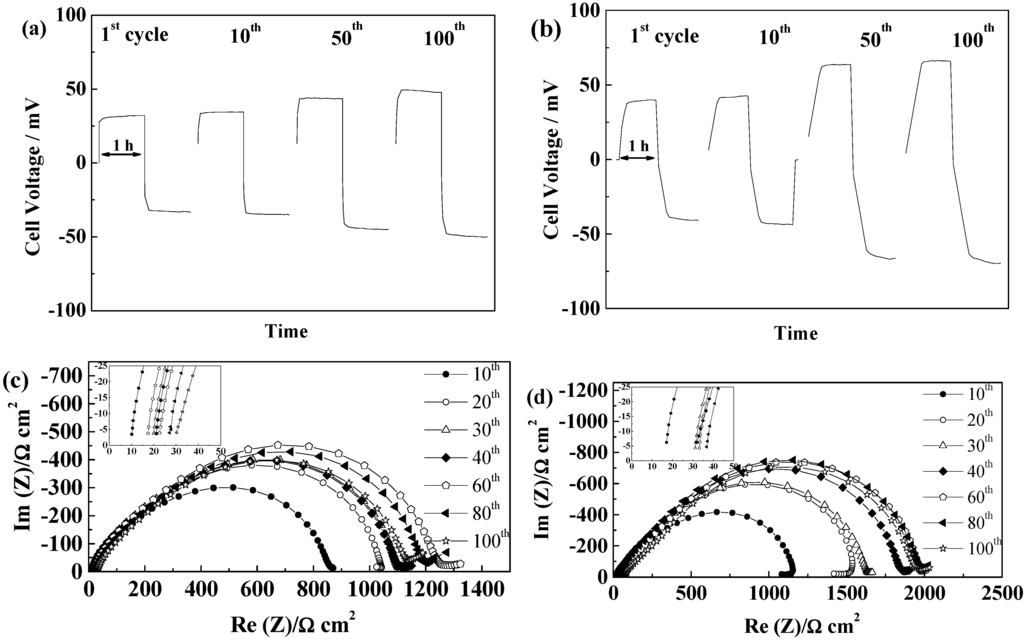 Ijms 15 14868 g008 1024