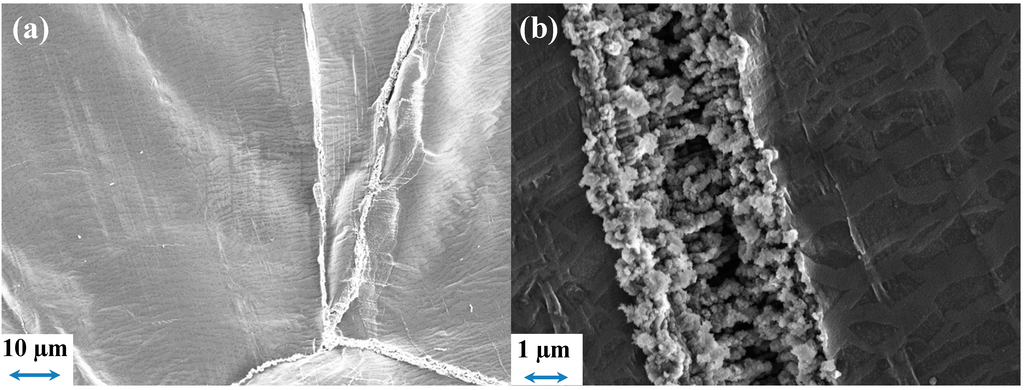 Ijms 15 14868 g009 1024