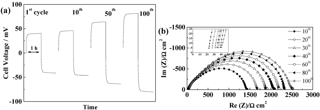 Ijms 15 14868 g013 1024