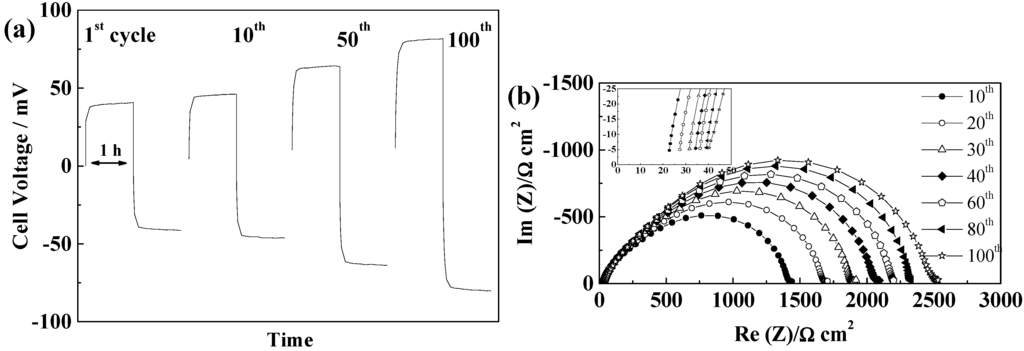 Ijms 15 14868 g014 1024