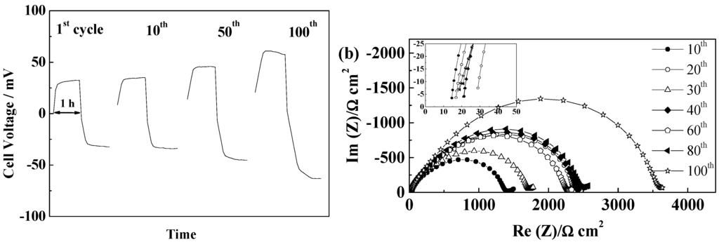 Ijms 15 14868 g015 1024