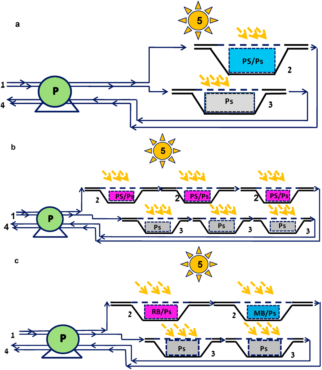 Ijms 15 14984 g001 1024