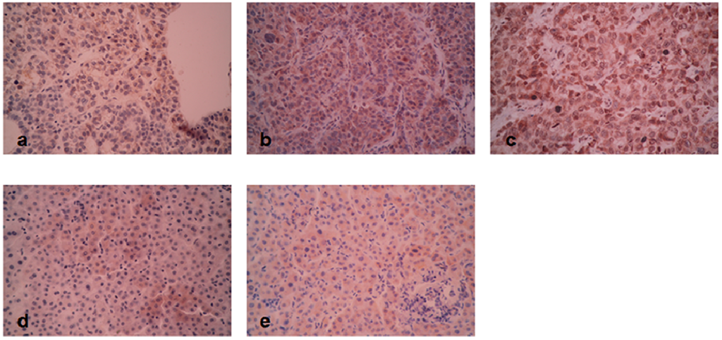 Ijms 15 15011 g006 1024