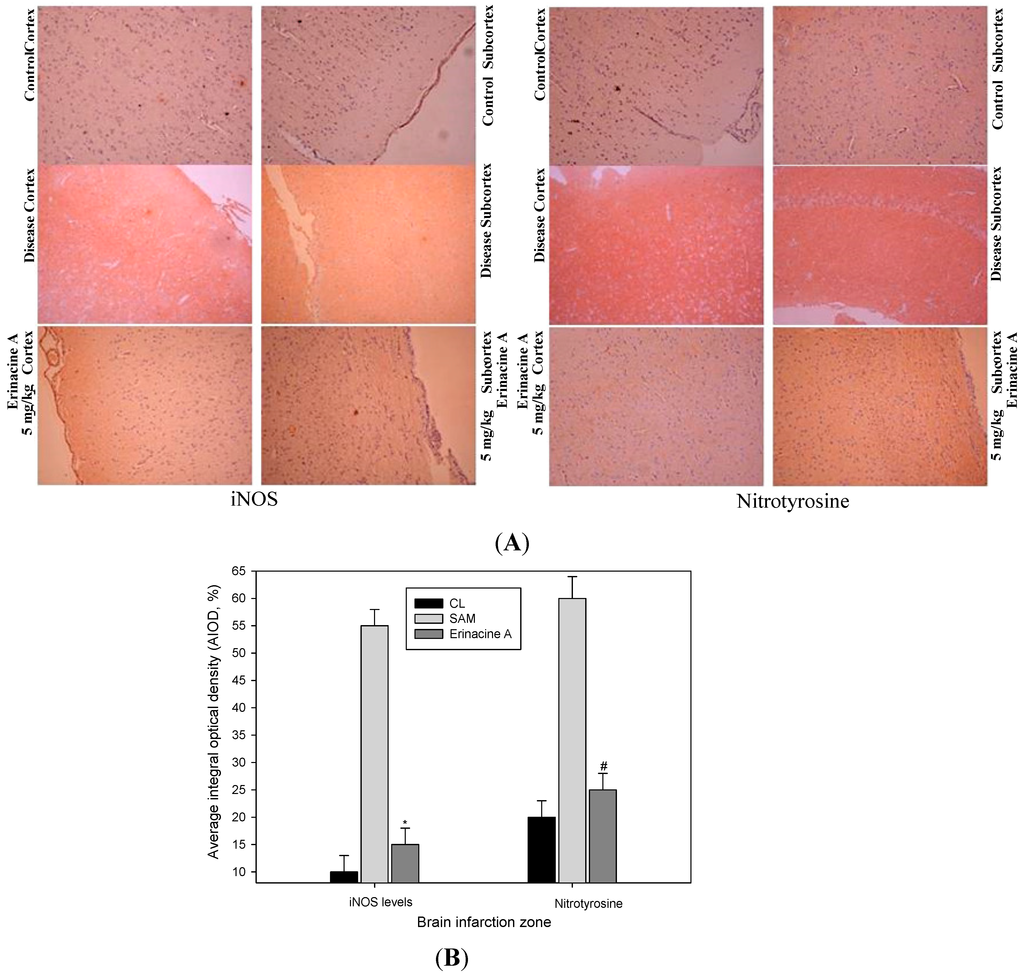 Ijms 15 15073 g005 1024