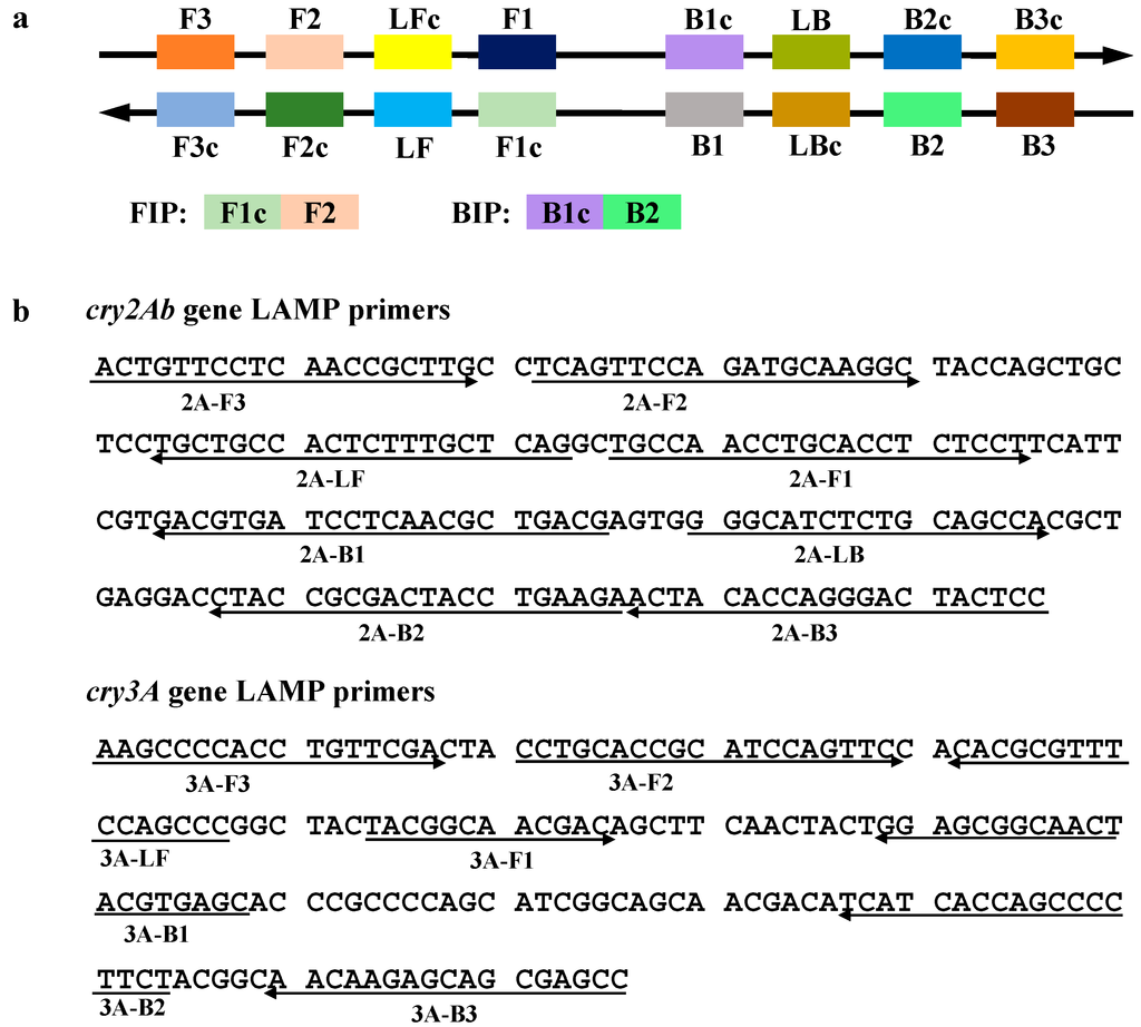 Ijms 15 15109 g001 1024