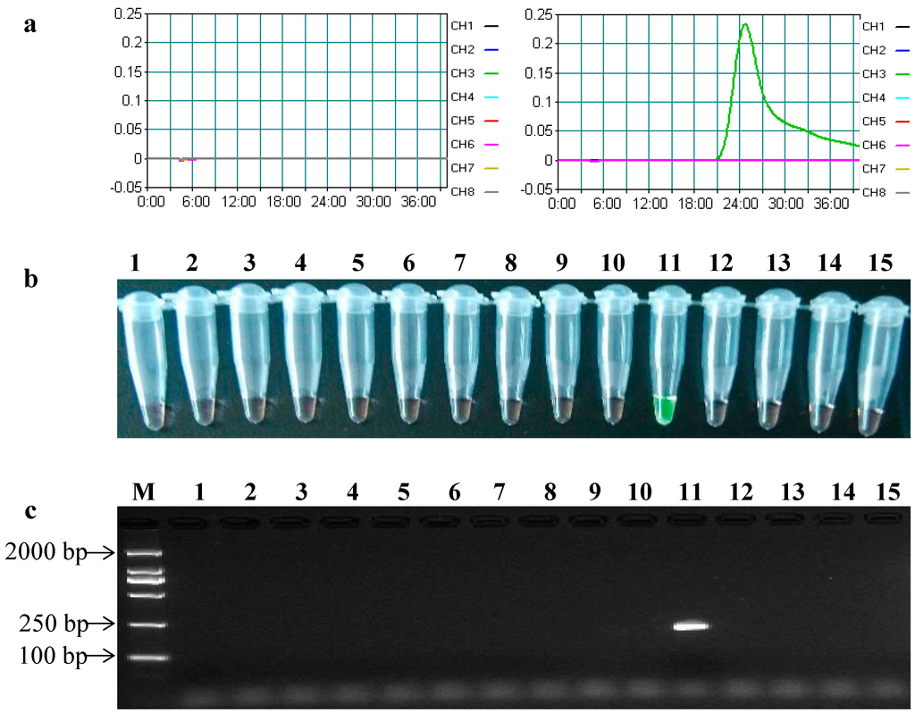 Ijms 15 15109 g003 1024