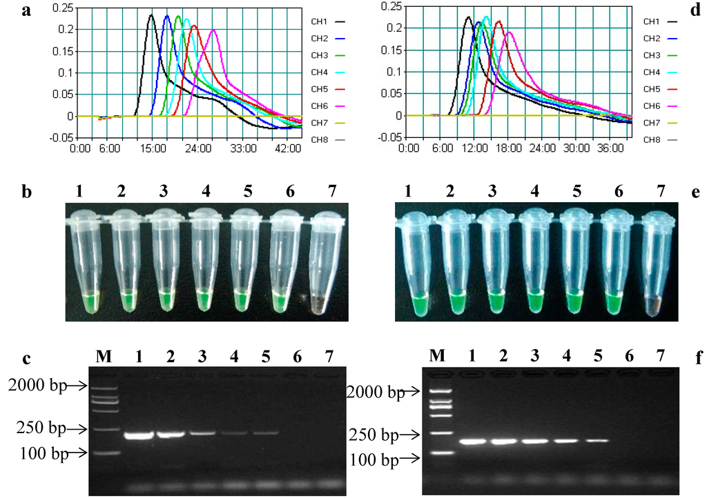 Ijms 15 15109 g004 1024