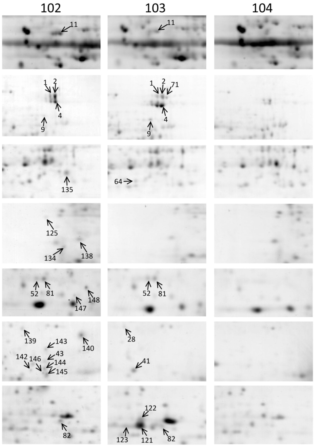 Ijms 15 15188 g001 1024