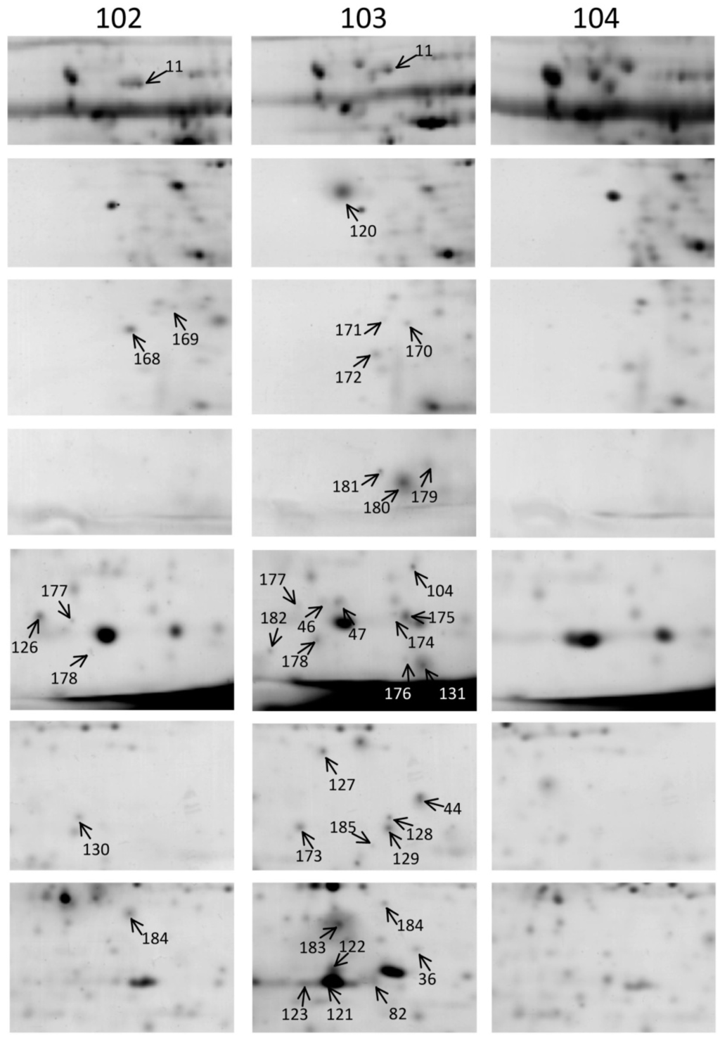 Ijms 15 15188 g002 1024