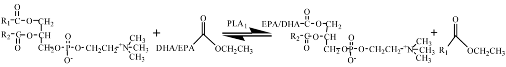 Ijms 15 15244 g008 1024