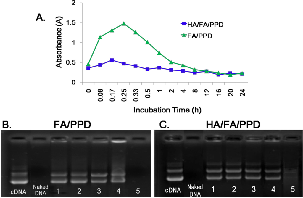 Ijms 15 15287 g004 1024