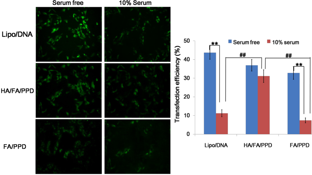 Ijms 15 15287 g007 1024
