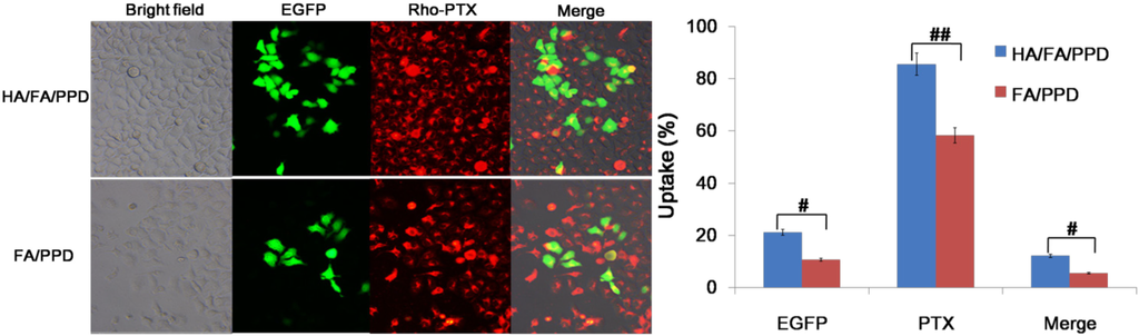 Ijms 15 15287 g009 1024