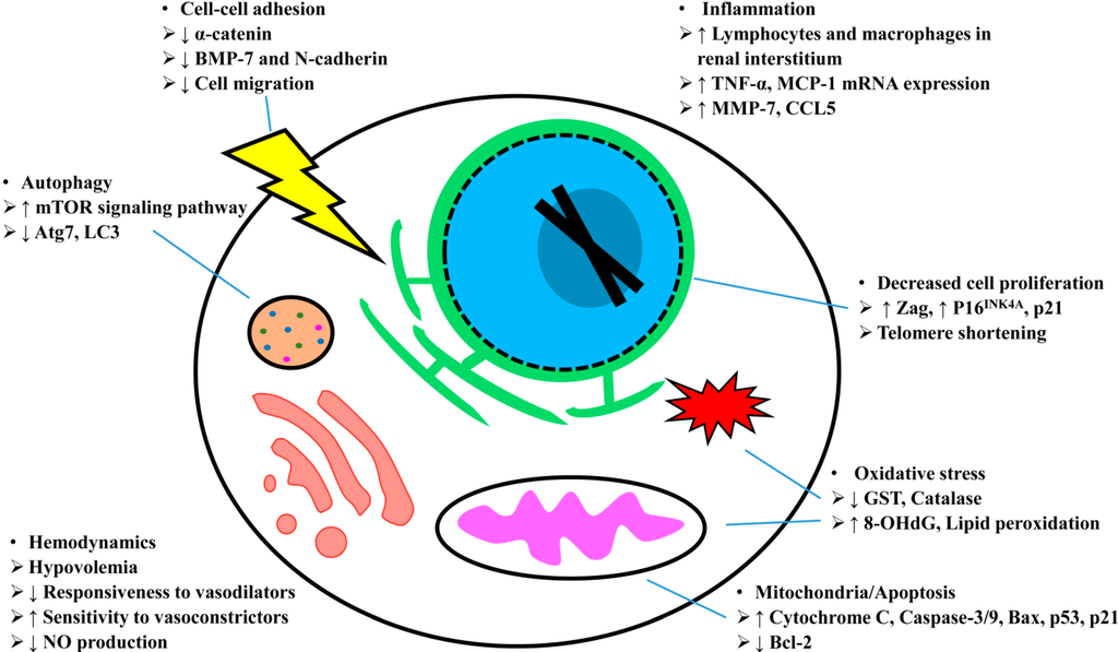 Ijms 15 15358 g002 1024